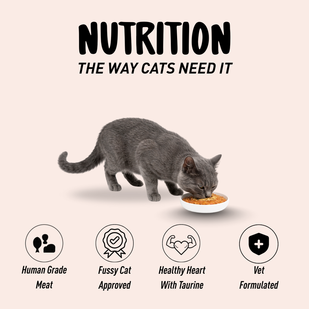 Meow Meals Chicken & Seaweed Cat Food 85g | Homiee & Ginger – MOWGLY ...